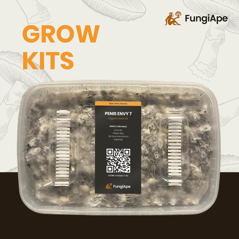 Grow Fresh Mushrooms at Home with Our Easy Mushroom Grow Kits