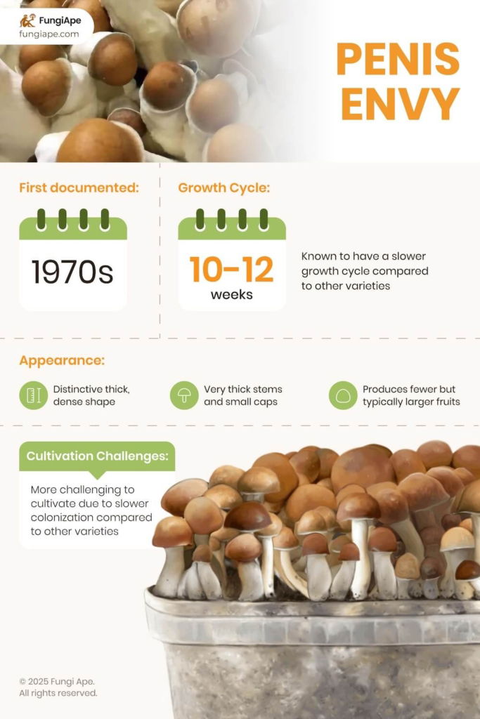 penis envy mushrooms infographic.