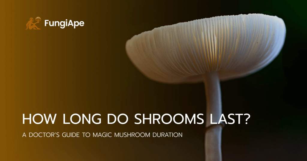 How Long Do Shrooms Last?