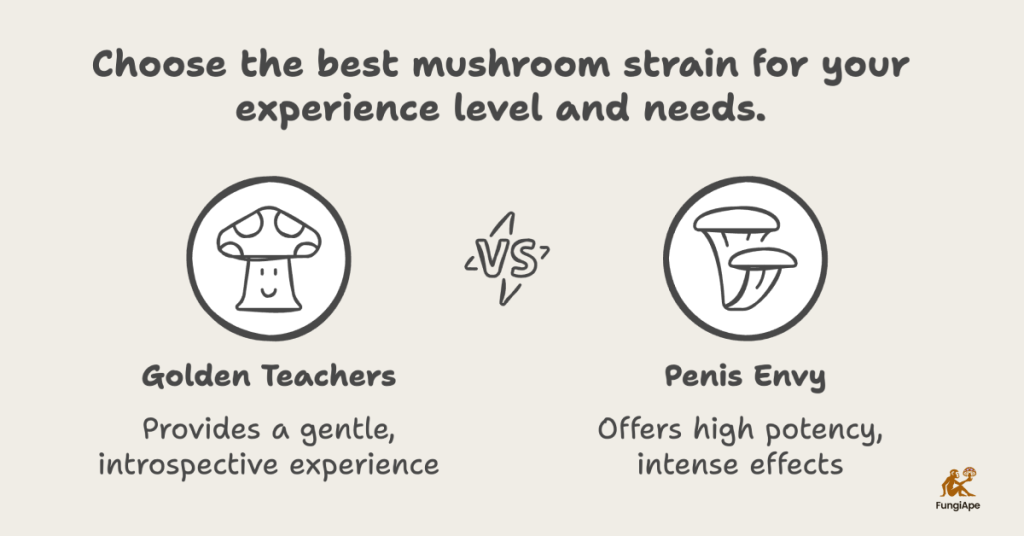 golden teacher mushroom vs penis envy