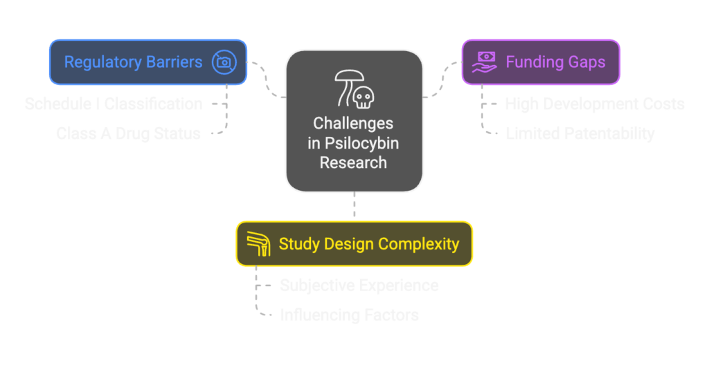 Challenges in Psilocybin Research, Psilocybin Pain Management