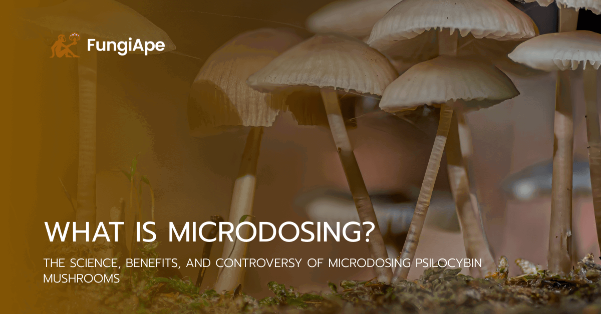 What is Microdosing