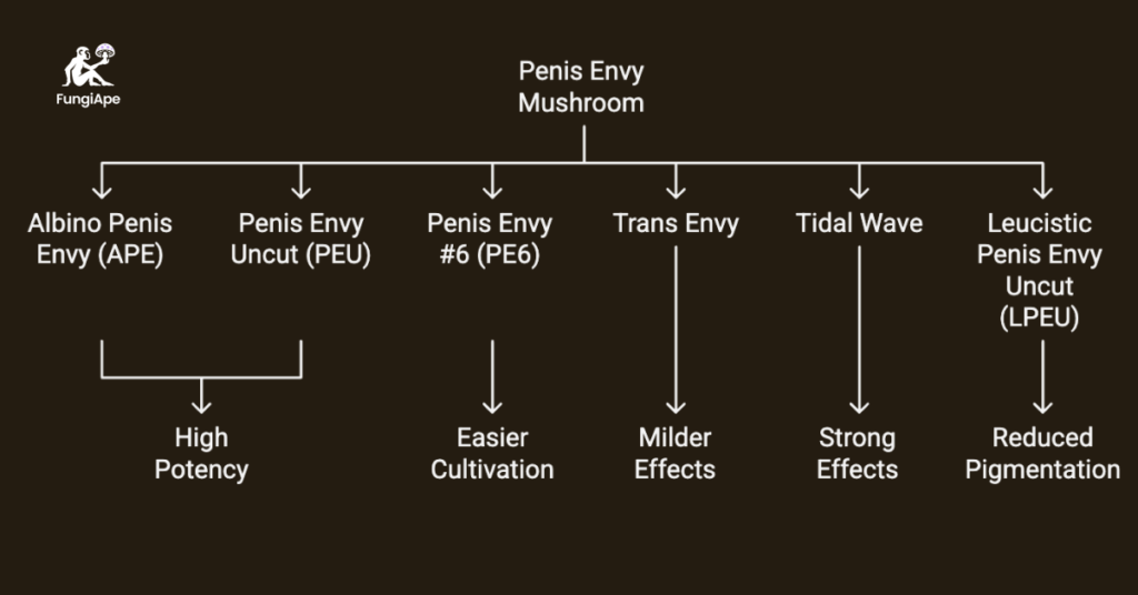 penis envy Subvarieties