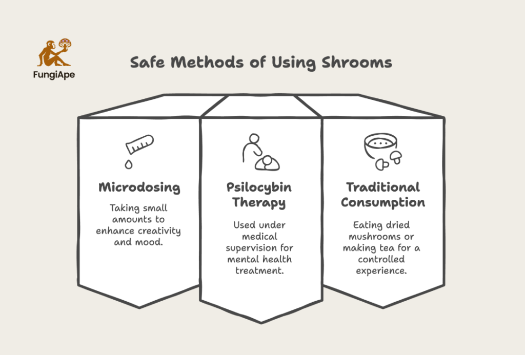 Alternative and Safe Methods of Using Shrooms
