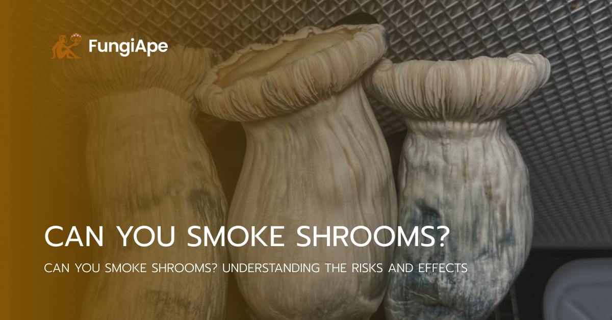 Can You Smoke Shrooms?