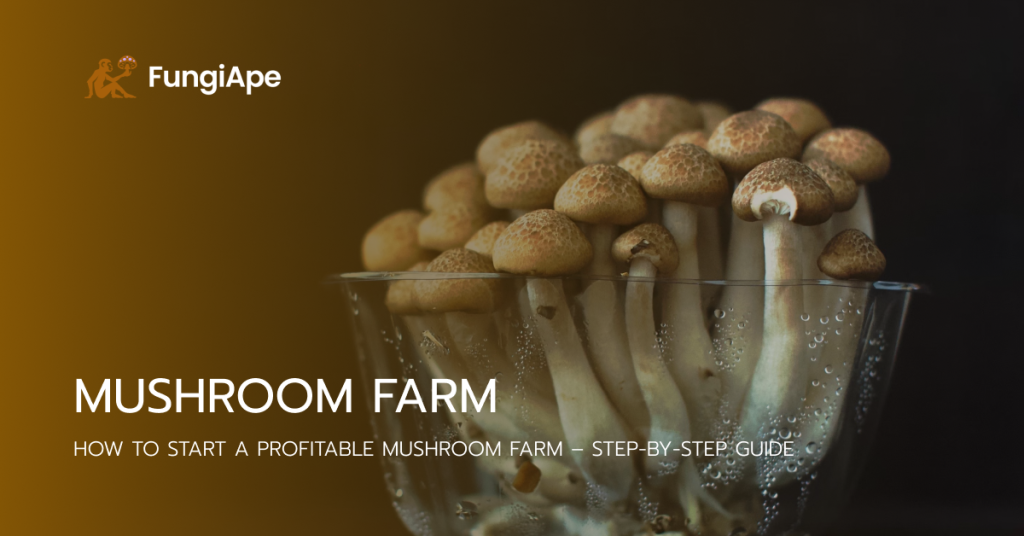 Mushroom Farm