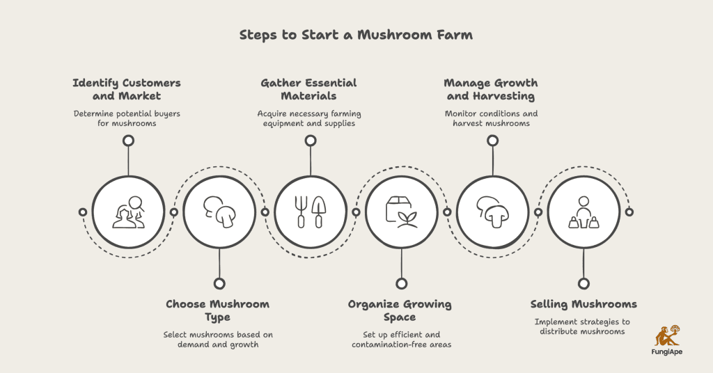 Steps to Start a Mushroom Farm