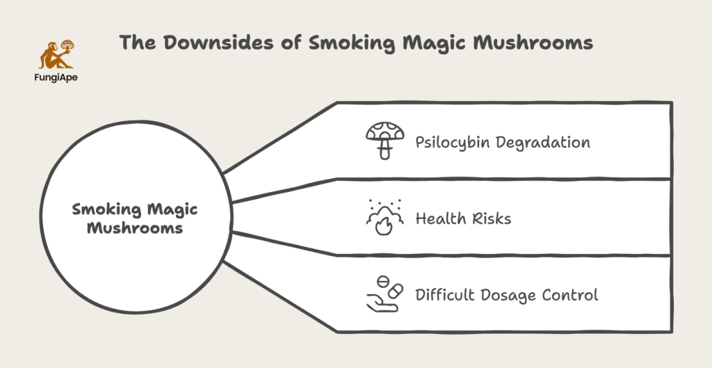 The Downsides of Smoking Magic Mushrooms