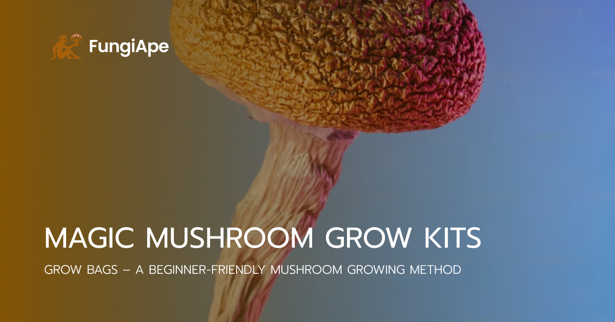 magic mushroom grow kits