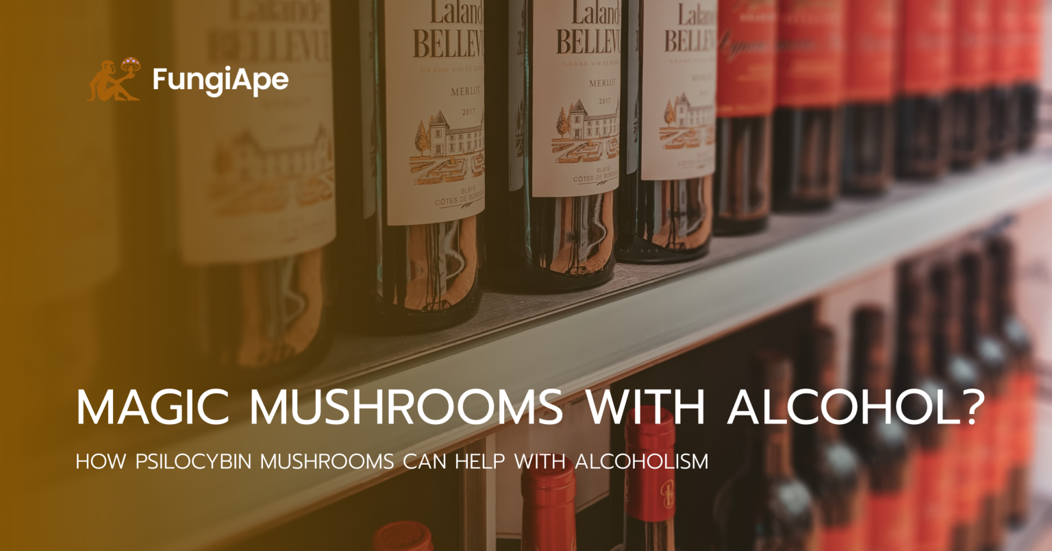 Can you consume magic mushrooms with Alcohol?