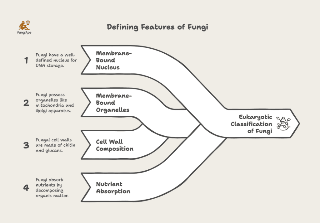 Defining Features of Fungi