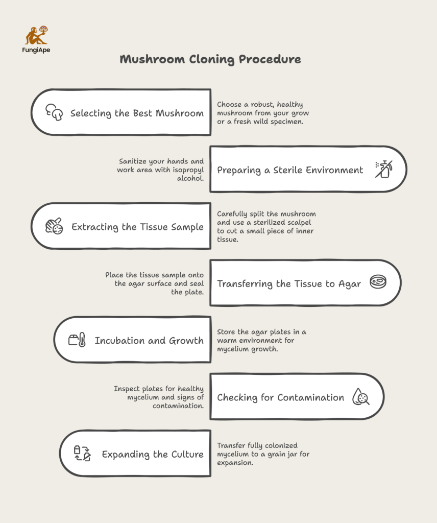 Mushroom Cloning Procedure