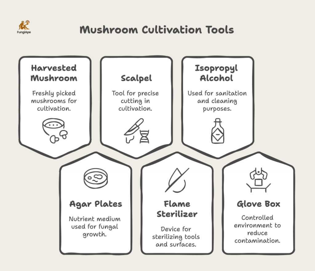 Mushroom Cultivation Tools