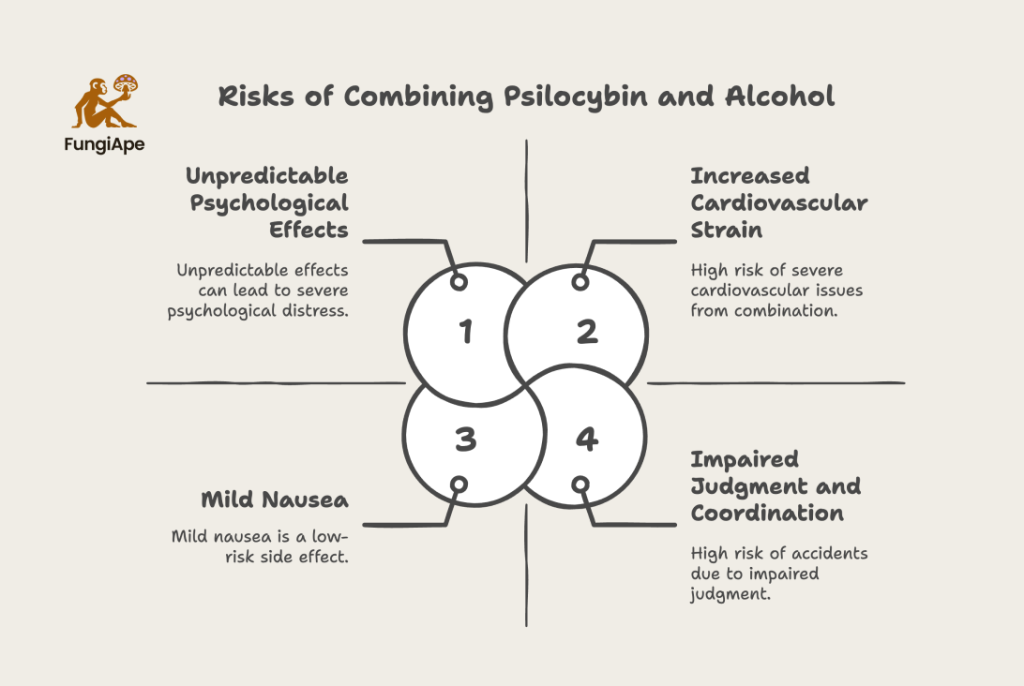 Risks of Combining Psilocybin and Alcohol